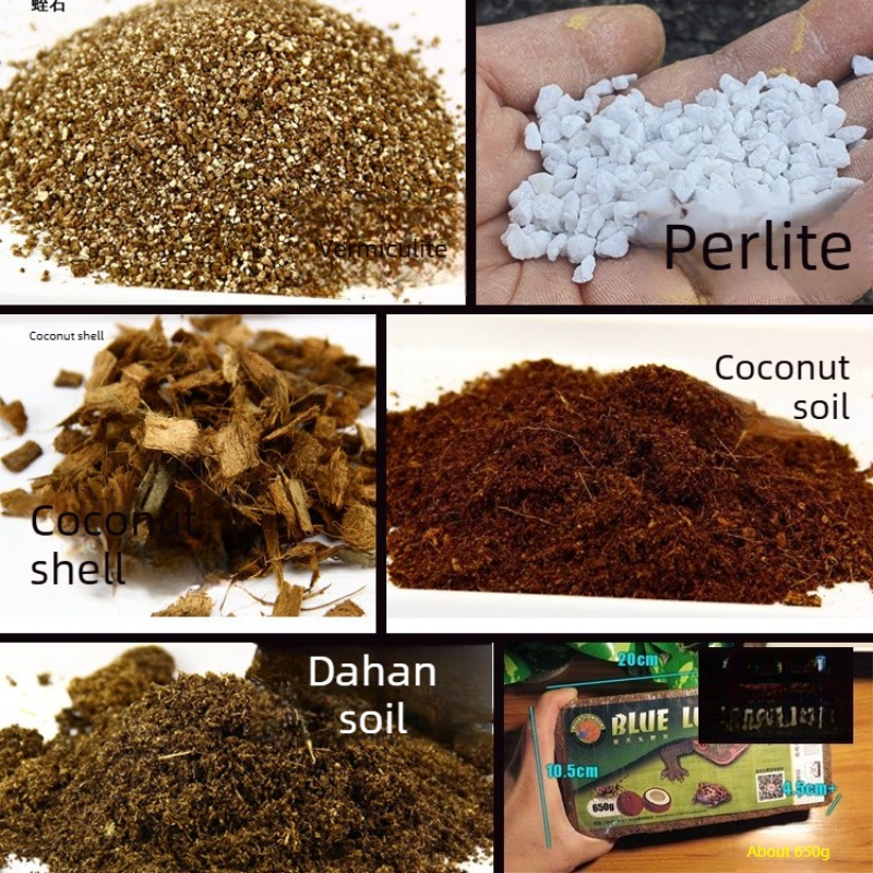 Sphagnum Moss Dry - Hindistan Cevizi Toprağı Tuğlası Sürüngen Substratı