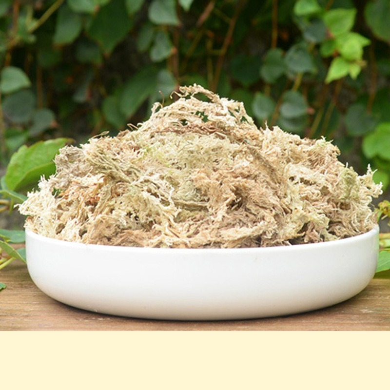 Sphagnum Moss Dry - Sürüngen Teraryumu Sphagnum Yosunu Substratı Orkide
