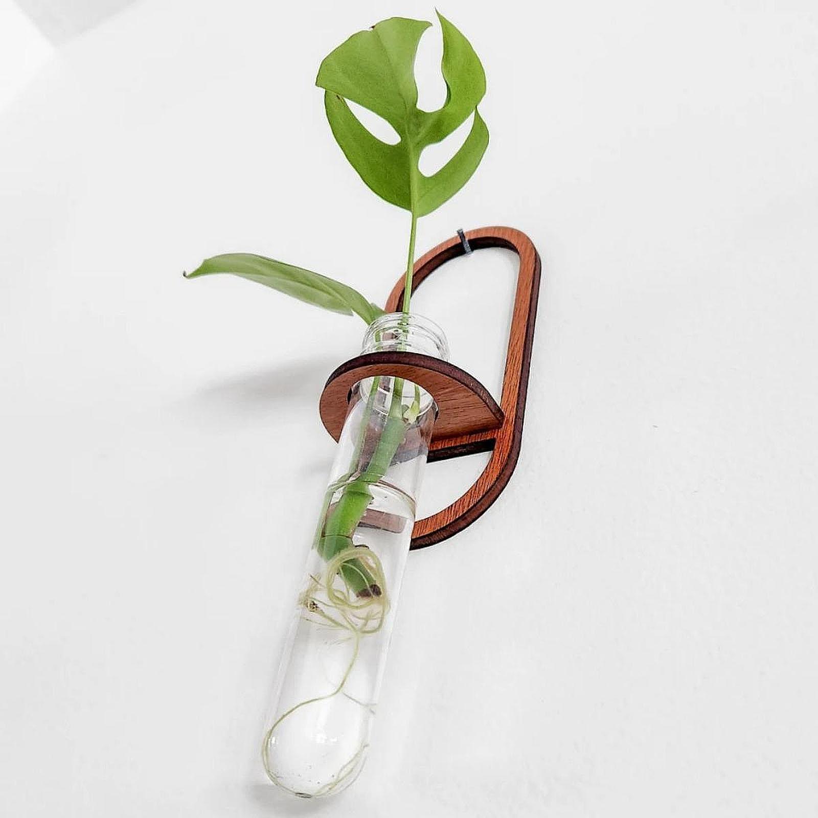 Hidroponik Bitki Vazosu, Ahşap - Propagation Station Vase incelemesi ve fiyatı