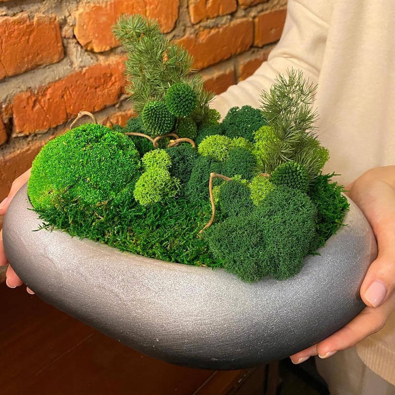 Yapay Yeşil Bitkiler Ebedi Yaş - Sphagnum Moss Dry incelemesi ve fiyatı