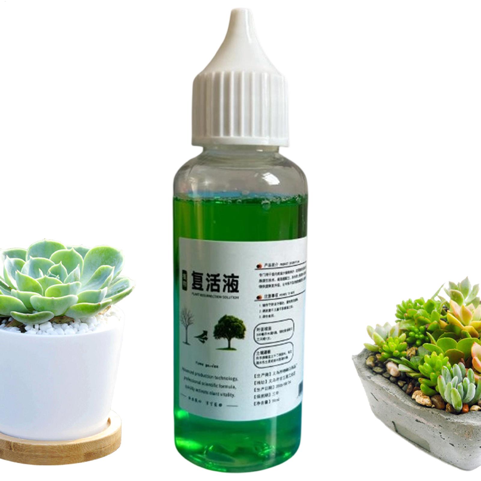 Bitkiler için Kök Geliştirici  - Root Stimulator Liquid incelemesi ve fiyatı