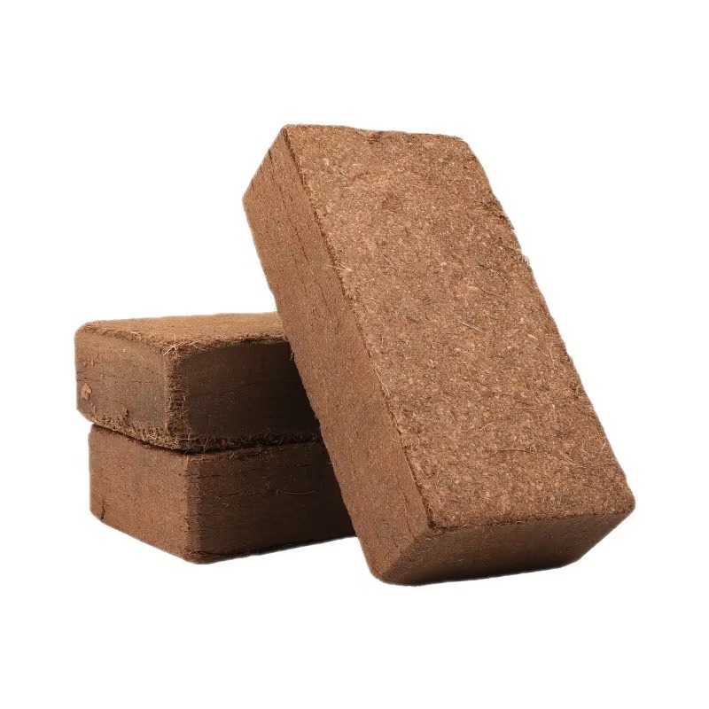 Sürüngen Yatağı Sıkıştırılmış  - Sphagnum Moss Dry incelemesi ve fiyatı
