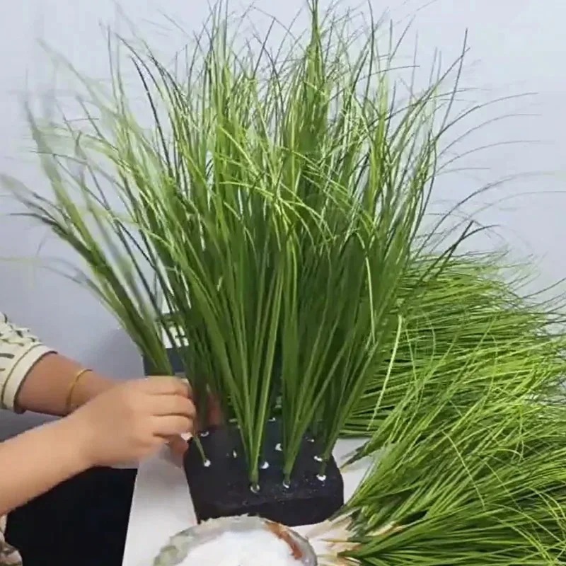 Simüle Bitki Yapay Soğan Çimi  - Sphagnum Moss Dry incelemesi ve fiyatı