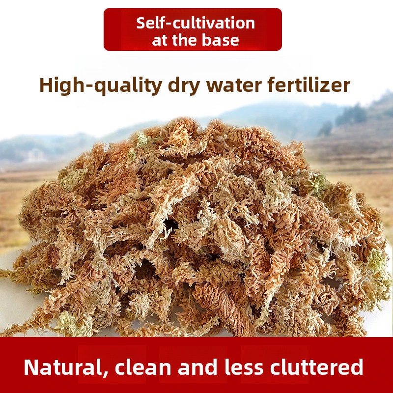 A Sınıfı Kurutulmuş Sphagnum Y - Sphagnum Moss Dry incelemesi ve fiyatı