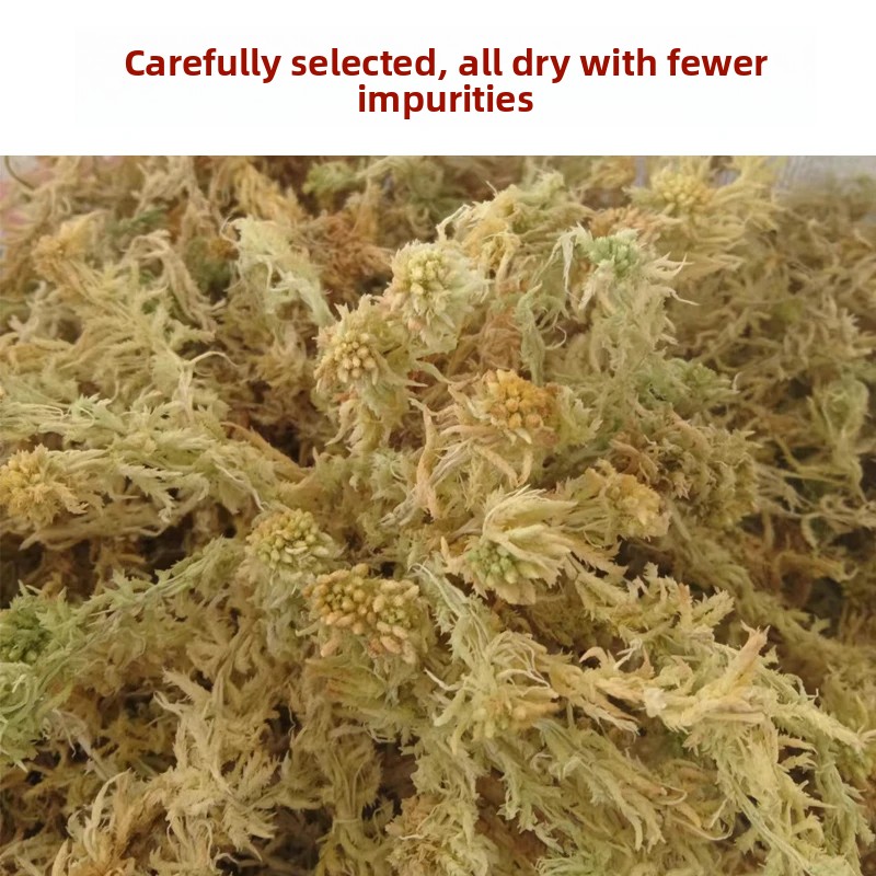 A Sınıfı Kurutulmuş Sphagnum Y - Sphagnum Moss Dry incelemesi ve fiyatı
