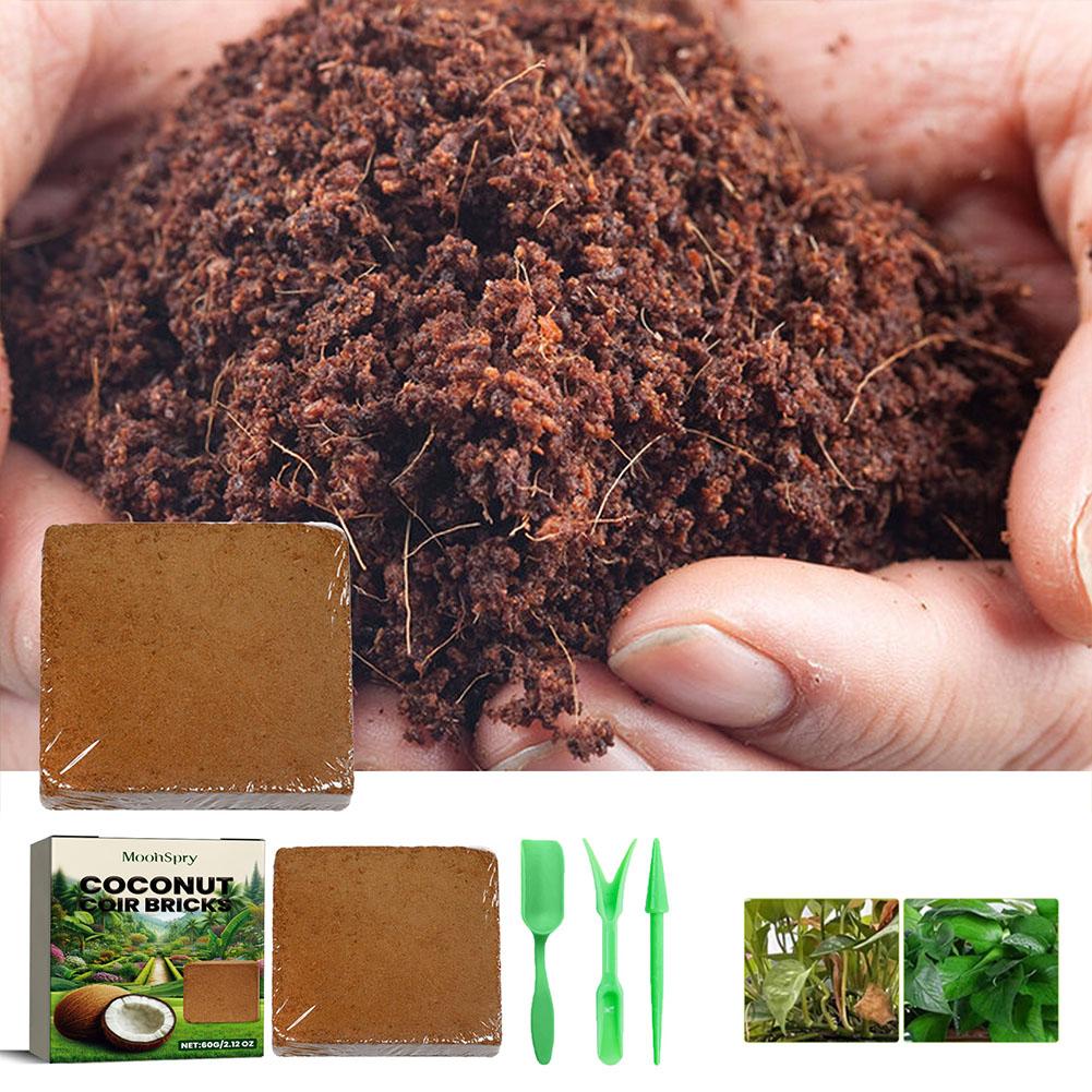 Hindistan Cevizi Lifi Tuğlası  - Sphagnum Moss Dry incelemesi ve fiyatı