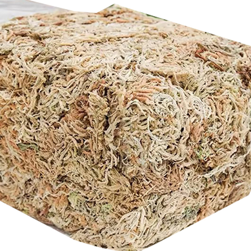 Sürüngen Teraryumu Sphagnum Yo - Sphagnum Moss Dry incelemesi ve fiyatı