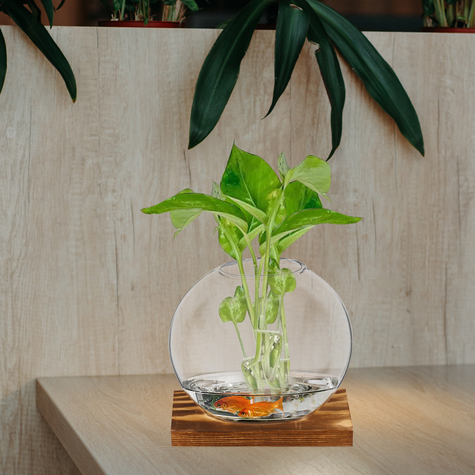 2 Adet Küçük Cam Saksı, Oturma - Propagation Station Vase incelemesi ve fiyatı